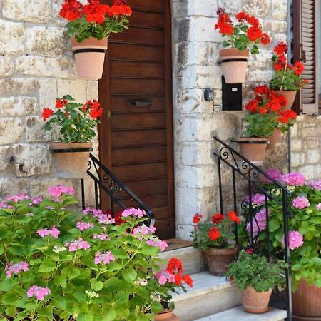Casa Gentile Daire Assisi Dış mekan fotoğraf