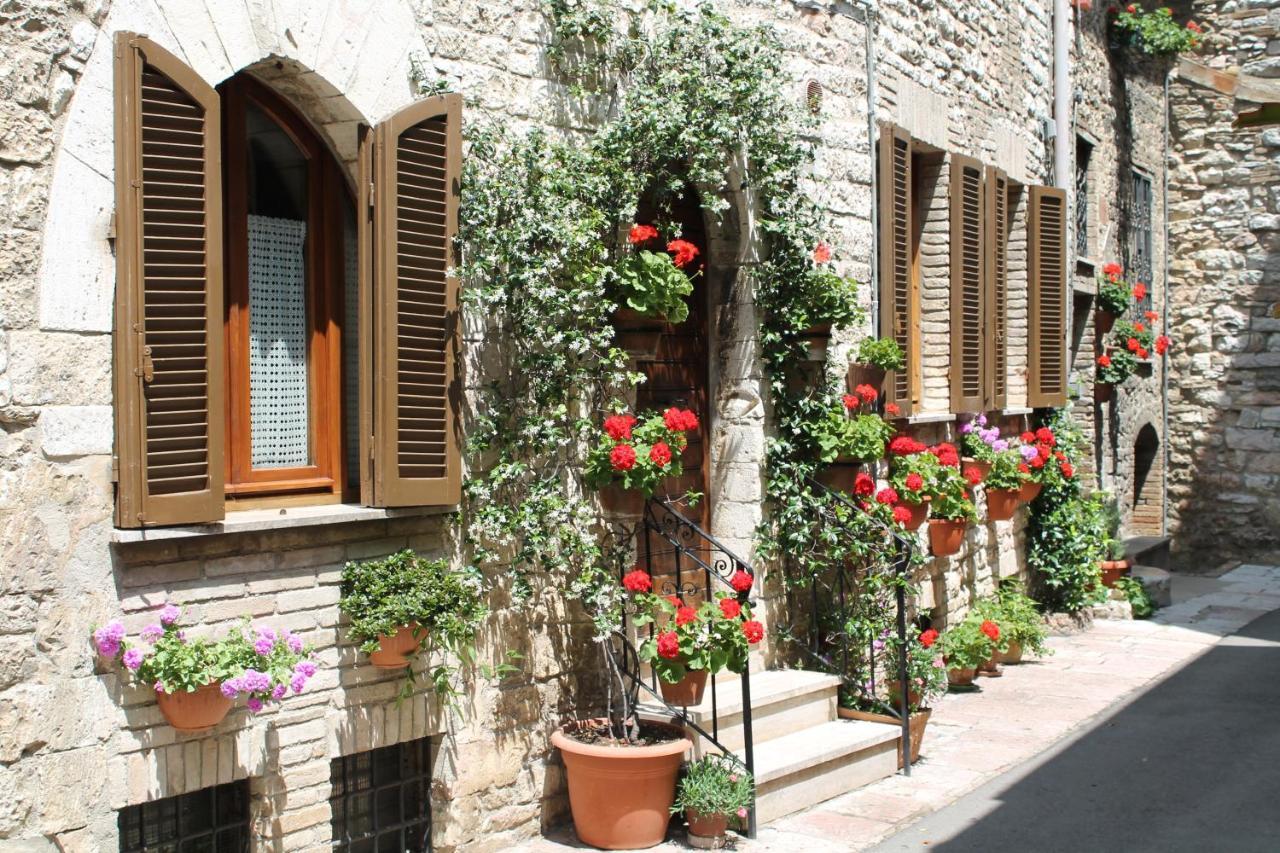 Casa Gentile Daire Assisi Dış mekan fotoğraf