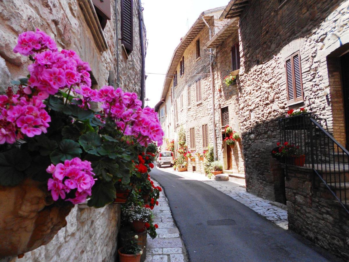 Casa Gentile Daire Assisi Dış mekan fotoğraf
