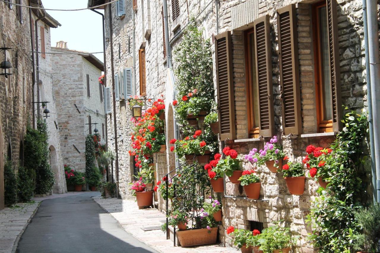 Casa Gentile Daire Assisi Dış mekan fotoğraf