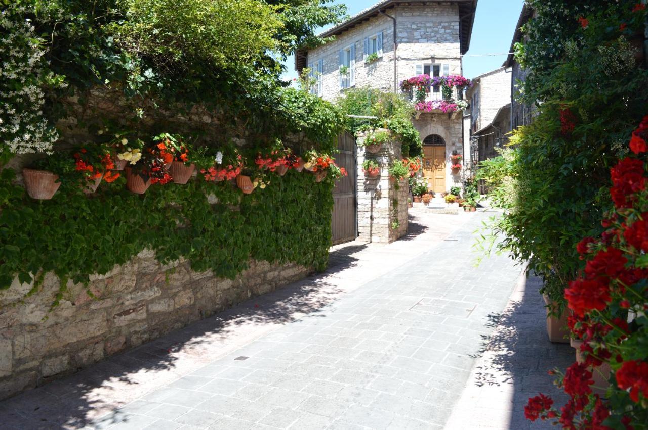 Casa Gentile Daire Assisi Dış mekan fotoğraf